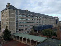 Traitement Mérule - Rolland des bois - Lycée Ker Siam - Côtes-d'Armor (22)