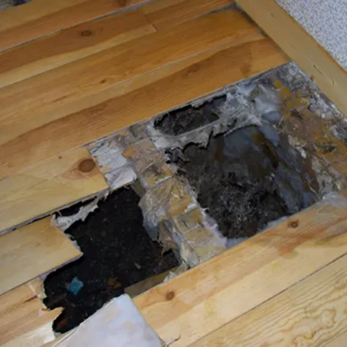 Dépose du plancher sur chantier de traitement mérule