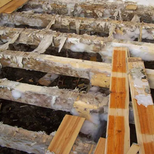 Traitement anti-mérule phase de dépose de plancher