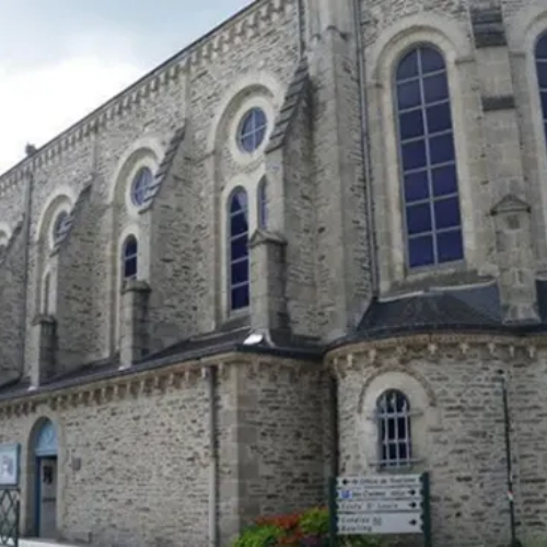 Traitement contre les champignons lignivores - traitement fongicide - traitement mérule - PLOERMEL