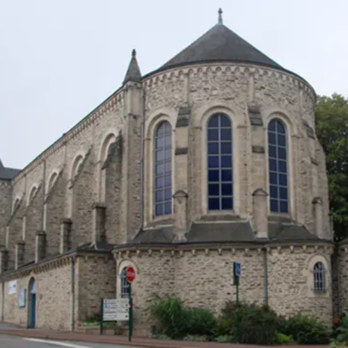 Ploermel - Traitement mérule