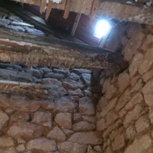 traitement anti-champignons lignivores - traitement mérule - PLOERMEL