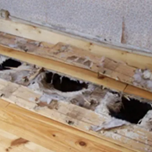 Traitement mérule dépose total des bois