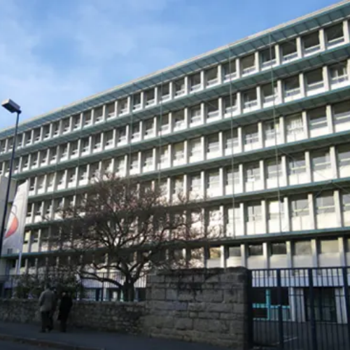 Traitement Mérule du Collège Anne de BRETAGNE - Rolland des bois à Rennes en Ille-et-Vilaine (Saint-Malo, Fougères, Vitré, Cesson-Sévigné, Bruz, Dinard, Saint-Jacques-de-la-Lande, Betton, Redon, Pacé, Saint-Grégoire, Chantepie, Vern-sur-Seiche, Janzé, Le Rheu, Guichen, Bain-de-Bretagne)